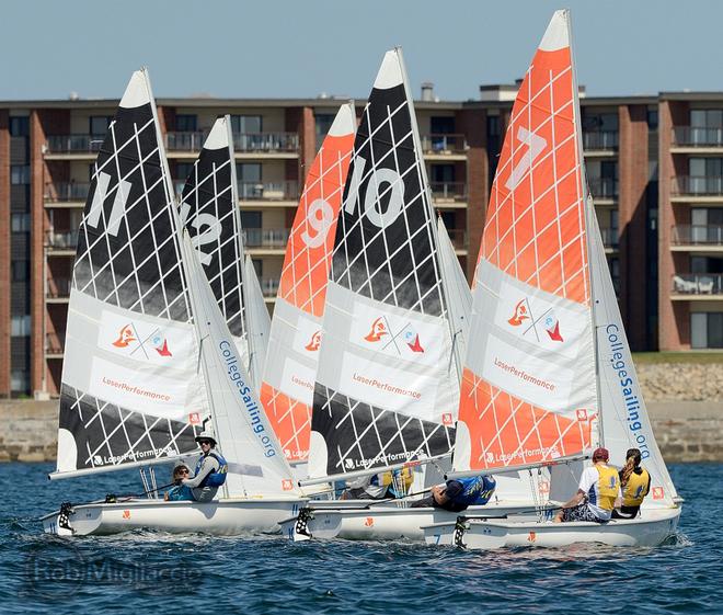 LaserPerformance Team Race National Championships - Day 1 © Robert Migliaccio
